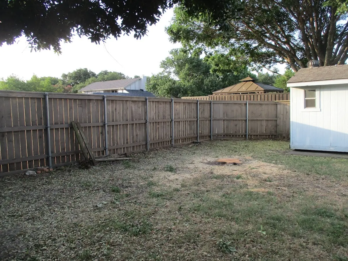 Cleared yard after professional tree removal in Central City